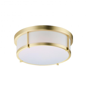 Rogue LED-Flush Mount (19|10273WTSBR)