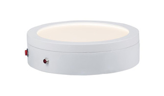 Wafer-Flush Mount (19|57784WTWT)