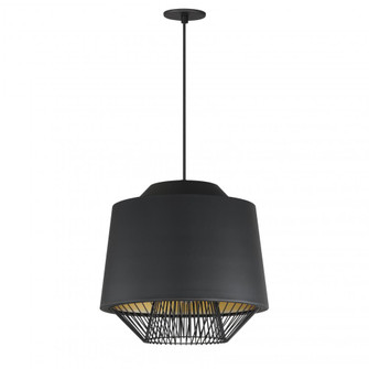 Phoenix-Single Pendant (94|E11394-BKGLD)