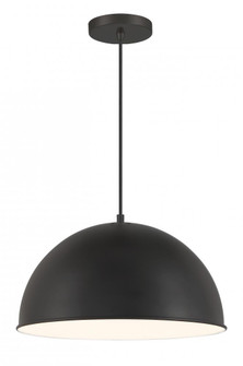 1 Light Pendant (10|6203-66A)