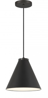 1 Light Pendant (10|6201-66A)