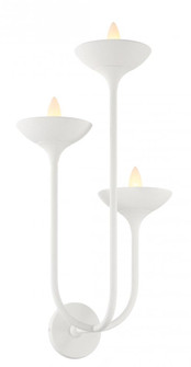 Ryton - 3 Light Wall Sconce (10|4713-892)