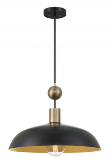 Biloxi - 24'' 1 Light Pendant (10|1996-862)