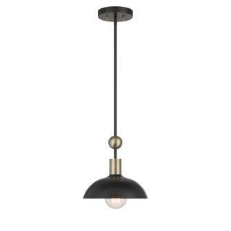 Biloxi - 24'' 1 Light Pendant (10|1996-862)