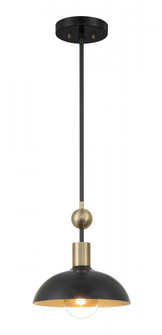 Biloxi - 10.75'' 1 Light Pendant (10|1994-862)