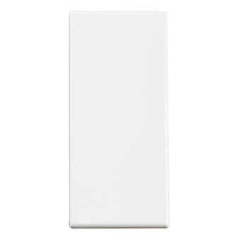 Full Size Blank Panel (10 pack) (2|4310)