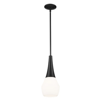 Pendant 1Lt (2|52529BK)