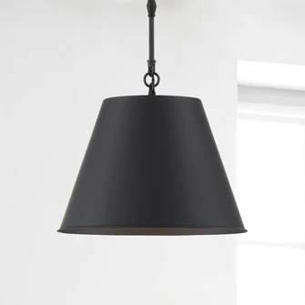 Alden 1-Light Pendant in Matte Black (128|7-232-1-89)