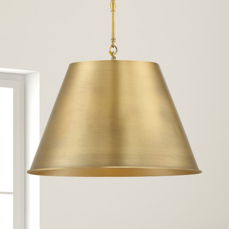 Alden 1-Light Pendant in Warm Brass (128|7-231-1-322)