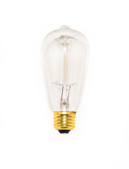 Bulbs-Bulb (19|BI40ST58CL120V)