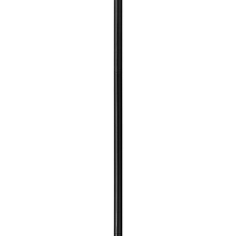 12'' Accessory Stem (87|6066BK)