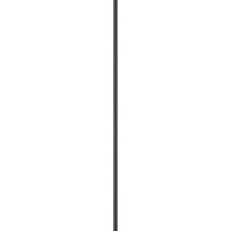 12'' Accessory Stem (87|6034BK)