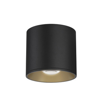 Stout-Flush Mount (19|86212BK)