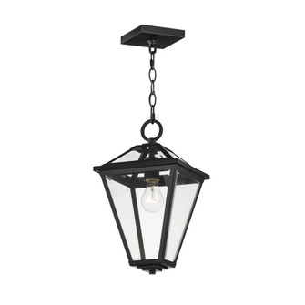 Prism-Outdoor Pendant (19|30569CLBK)