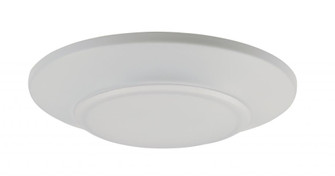Diverse-Flush Mount (19|57622WTWT)