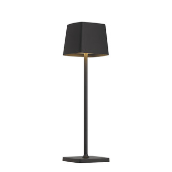 LED Table Lamp with Battery (77|P1665-66A-L)