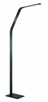 LED Floor Lamp (77|P082-66F-L)