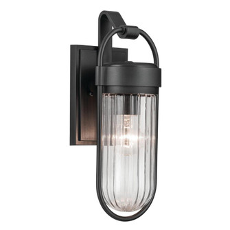 Brix 16 inch 1 Light Outdoor Wall Light with Ribbed Clear Glass in Textured Black (2|59123BKT)
