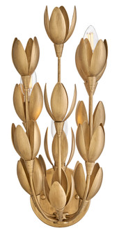 Medium Sconce (87|30010BNG)