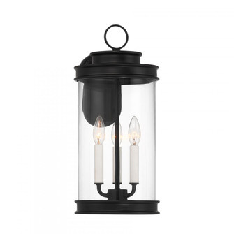 Englewood 3-Light Outdoor Wall Lantern in Matte Black (128|5-905-BK)
