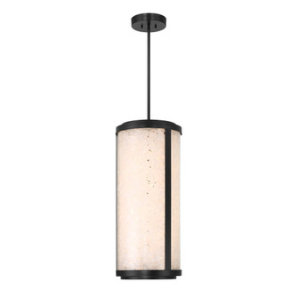 Salt Creek - LED Outdoor Pendant (10|8186-66A-L)
