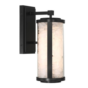 Salt Creek - LED Outdoor Wall Sconce (10|8181-66A-L)