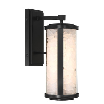 Salt Creek - LED Outdoor Wall Sconce (10|8181-66A-L)