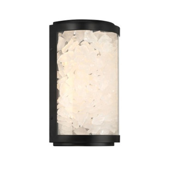 Salt Creek LED Outdoor Wall Mount (10|8185-66A-L)