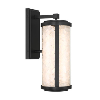 Salt Creek - LED Outdoor Wall Sconce (10|8182-66A-L)