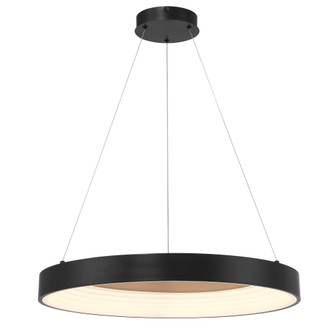 Conc - 24'' LED Pendant (77|P5555-66A-L)