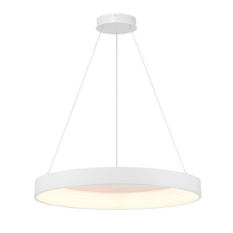 Conc - LED 24'' Pendant (77|P5555-44B-L)