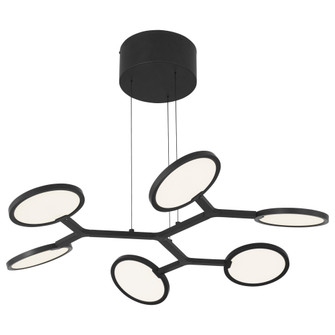 Bandalore 6 LED Island Light (77|P1950-66A-L)