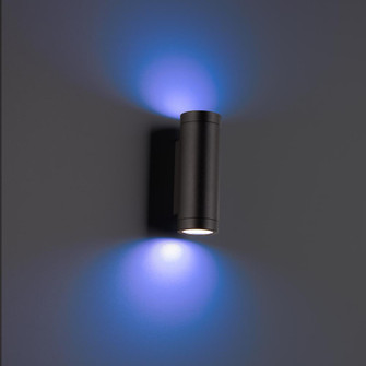 Smart Color Changing LED Landscape Wall Mount Cylinder (1357|3911-CSBK)