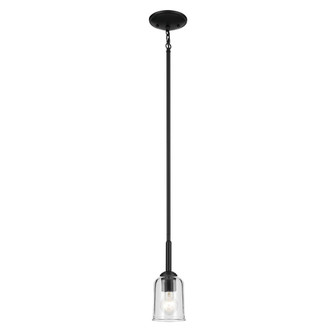 Mini Pendant 1Lt (2|43674BKCLR)