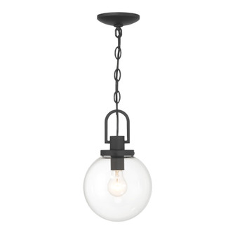 Wenston 1 Light Pendant (10|73364-66)