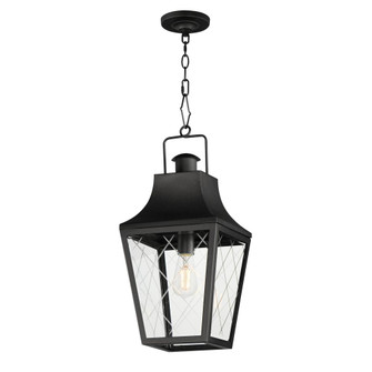 Storybook-Outdoor Pendant (19|30369CLBK)