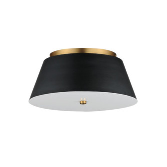 Miles-Flush Mount (19|10719WTBKNAB)