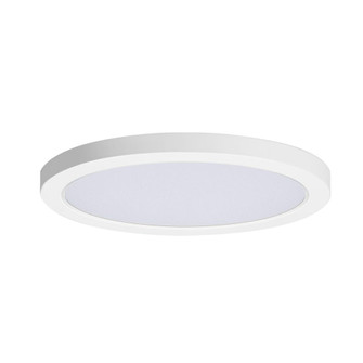 Chip-Flush Mount (19|57696WTWT)