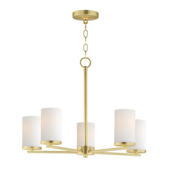 Lateral-Multi-Light Pendant (19|10286SWSBR)
