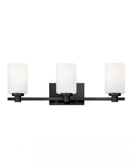 Medium Three Light Vanity (87|54623BK)