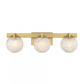 Darien 3-Light Bathroom Vanity Light in Warm Brass (128|8-1017-3-322)