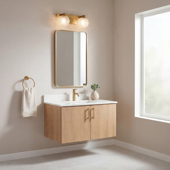 Darien 2-Light Bathroom Vanity Light in Warm Brass (128|8-1017-2-322)
