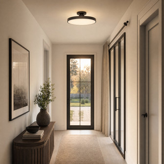 Thayer 1-Light LED Ceiling Light in Matte Black (128|6-2969-1-89)