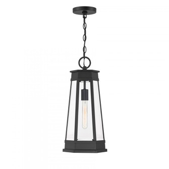 Payne 1-Light Outdoor Hanging Lantern in Matte Black (128|5-208-BK)