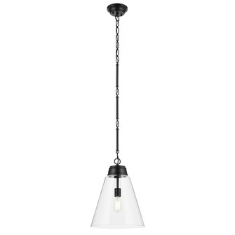 Pendant Large 1Lt (2|52662BKCLR)