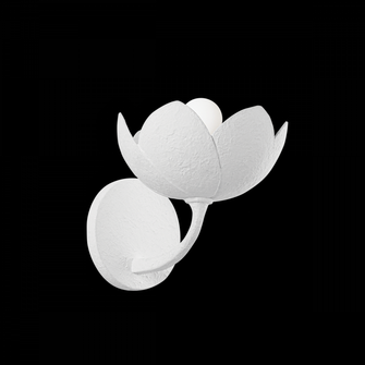ARCATA Wall Sconce (52|B2008-GSW)