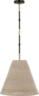 Goodman Medium Hanging Light in Bronze and Hand-Rubbed Antique Brass with Ash Shade (279|TOB 5091BZ/HAB-ASH)
