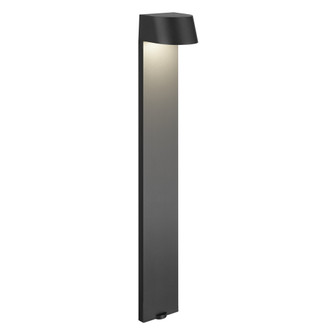 LED Flared Top Path Light (2|16262BKT30)