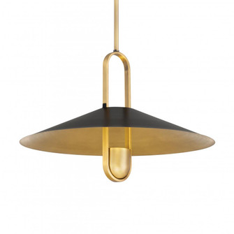 Goldenridge 20'' 1-Light Pendant (10|152-876)