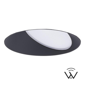FQ 4'' Tunable White Round Wall Wash Trimless (1357|R4FRWL-TWA-BK)